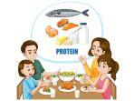 protein-7.jpg