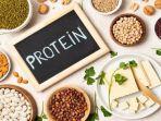 protein_11.jpg