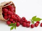 raspberry-2.jpg