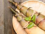 rebung-bambu-2.jpg