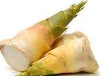 rebung-bambu-4.jpg