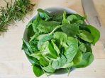 sayur-bayam.jpg