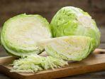 sayur-kol.jpg