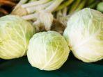 sayur-kol1.jpg