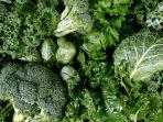 sayur-sayuran-4.jpg
