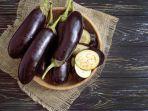 sayur-terong.jpg