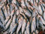 selain-salmon-ikan-sarden-rupanya-juga-memiliki-kandungan-yang-tak-kalah-bergizi.jpg