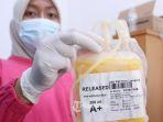 seorang-penyintas-covid-19-mendonorkan-plasma-konvalesen.jpg