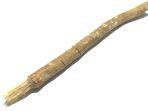 siwak.jpg