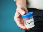 sperma-1.jpg