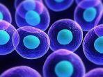 stem-cell-2.jpg