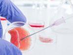 stem-cell.jpg