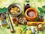 tanaman-herbal-1.jpg