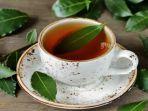 teh-daun-salam2.jpg