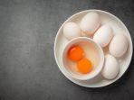 telur-2.jpg