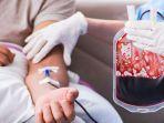 thalasemia-4.jpg