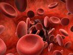 thalasemia-6.jpg