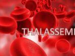 thalasemia-9.jpg