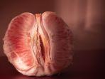 vagina-becek.jpg