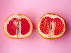 vagina-sehat-1.jpg