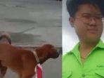 viral-anjing-berkalung-bendera-merah-putih-2.jpg