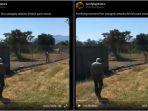 viral-video-seorang-pawang-diterkam-dan-diseret-oleh-seekor-singa-yang-ngamuk.jpg