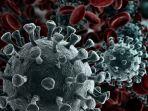 virus-covid19.jpg