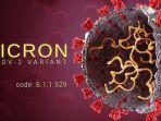 virus-omicron-1.jpg