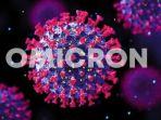 virus-omicron-2.jpg