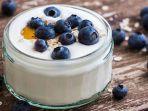 yoghurt-blubberry.jpg