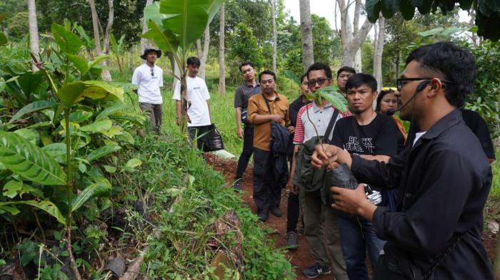 Pegiat kopi memperlihatkan bibit kopi excelsa kepada awak media Desa Margamekar, Kecamatan Sumedang Selatan, Kabupaten Sumedang, Jawa Barat, Rabu (1/09/2025).