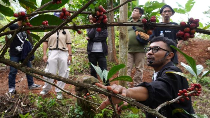Pegiat kopi menjelaskan karakteristik kopi excelsa kepada awak media di Desa Margamekar, Kecamatan Sumedang Selatan, Kabupaten Sumedang, Jawa Barat, Rabu (1/09/2025).