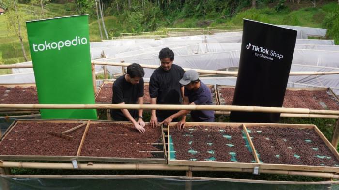 Head of Communications Tokopedia and TikTok E-commerce, Indonesia, Aditia Grasio Nelwan(tengah) berbincang bersama Prosesor Kopi Excelsa Rainaldi (kanan) dan Juara Ketiga World Brewers Cup 2024, Ryan Wibawa saat meninjau tempat penjemuran kopi excelsa di Desa Margamekar, Kecamatan Sumedang Selatan, Kabupaten Sumedang, Jawa Barat, Rabu (1/09/2025).