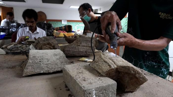 Preparator fosil melakukan preparasi perbersihan gading dari fosil gajah purba (Stegodon trigonocephalus) di ruang workshop Museum Geologi, Kota Bandung, Jawa Barat, Kamis (13/11/2025).