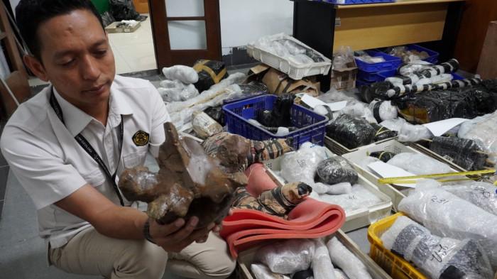 Preparator fosil mengecek bagian organ dari fosil gajah purba (Stegodon trigonocephalus) yang akan dipreparasi di ruang workshop Museum Geologi, Kota Bandung, Jawa Barat, Kamis (13/11/2025).