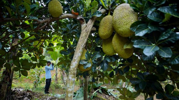 Pelajar SMAN 27 Kota Bandung mengikuti kegiatan pengamatan keanekaragaman hayati di Taman Kehati, Kecamatan Cibiru, Kota Bandung, Jawa Barat, Selasa (18/11/2025).