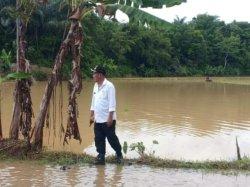 Di Ciparay Ciamis Tinggal Hamparan Sawah yang Masih Terendam Banjir Luapan Sungai Ciseel