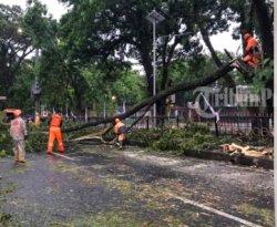 Tak Hanya Pohon Tumbang di Lapangan Dadaha, Tasikmalaya Dikepung Bencana Saat Dilanda Hujan Deras