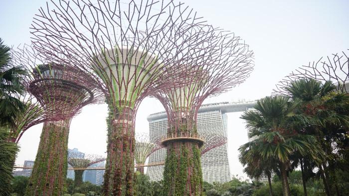 Gardens by the bay singapura