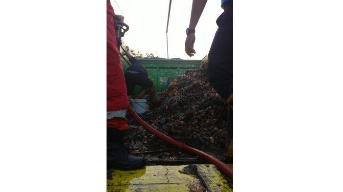 Kebakaran Truk di Pantura Indramayu, Ribuan Butir Telur Gosong, Pemilik Ditaksir Rugi Ratusan Juta