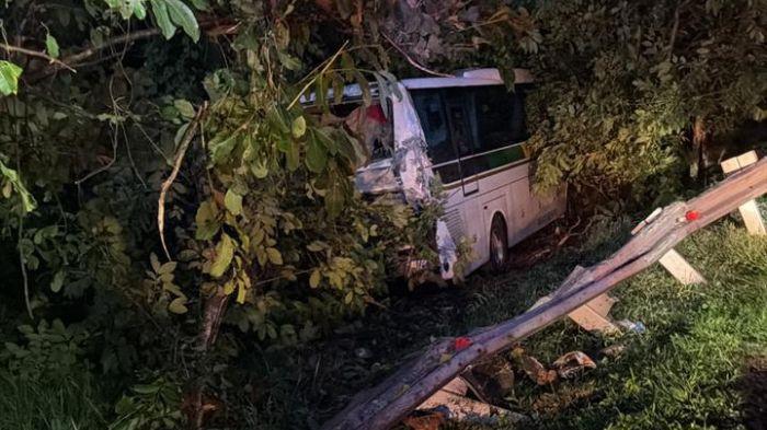 LAKA MAUT - Kondisi bus Sinar Jaya yang terperosok ke parit setelah ditabrak bus Agra Mas dalam musibah kecelakaan maut beruntun di ruas Tol Cikopo-Palimanan (Cipali) KM 72, Purwakarta, pada Selasa (18/11/2025) dini hari. 5 Orang tewas akibat kecelakaan ini.