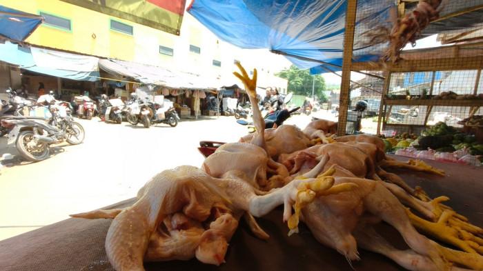 Kondisi lapak pedagang ayam potong di Pasar Palabuhanratu Sukabumi sepi pembeli, harga meroket. Mereka menjerit akibat program MBG yang tidak menguntungkan pedagang di pasar.