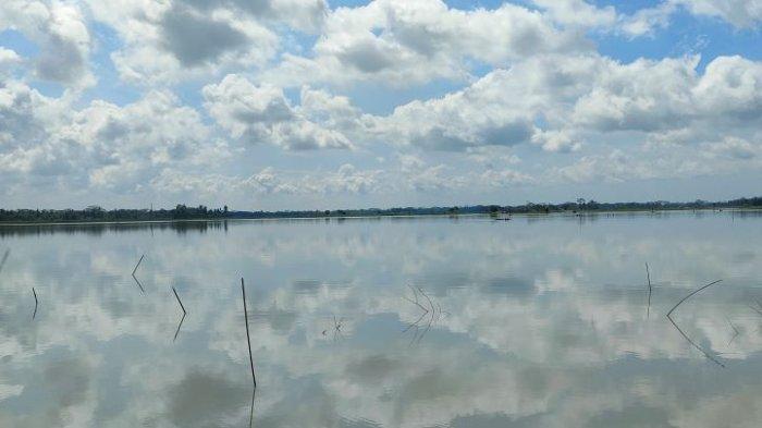 Ratusan Hektare Sawah di Pangandaran Terendam Banjir, Petani Butuh Pompa Besar Untuk Sedot Air