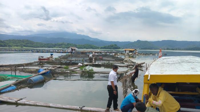 Hebat! Petani Bongkar Mandiri Kolam Jaring Apung di Bendungan Jatigede Sumedang