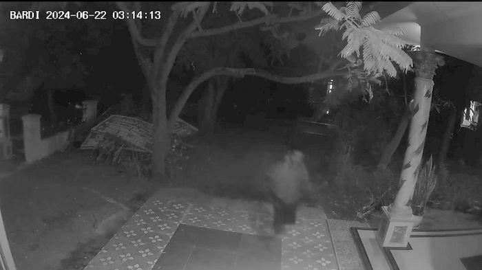 Videonya Tersebar di Medsos, Maling Santai Saat Mencuri di Rumah Warga Indramayu, Pelakunya Diburu
