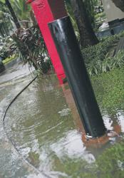 Ini 3 Cara Cegah Genangan di Halaman