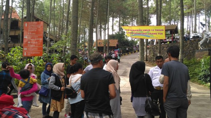 Hari Ini 3.000 Tiket Masuk Dago Dreampark Ludes Terjual, Wisatawan Rasakan Kesegaran Hutan Pinus