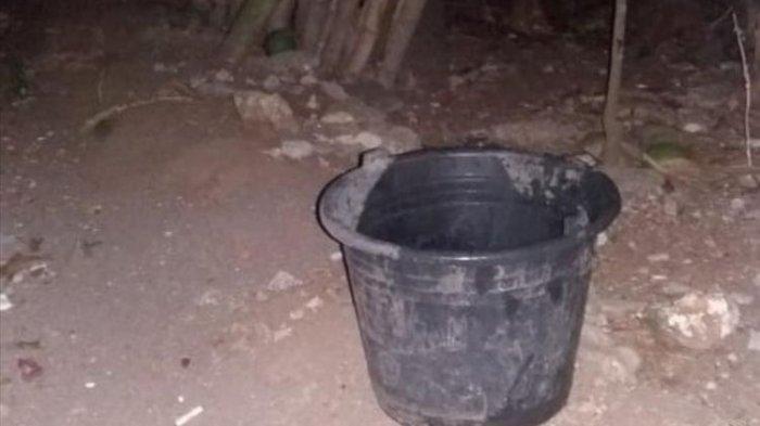 Antisipasi Macan Mengganggu Pemukiman, Warga Gunungkidul Siapkan Ember untuk Ini