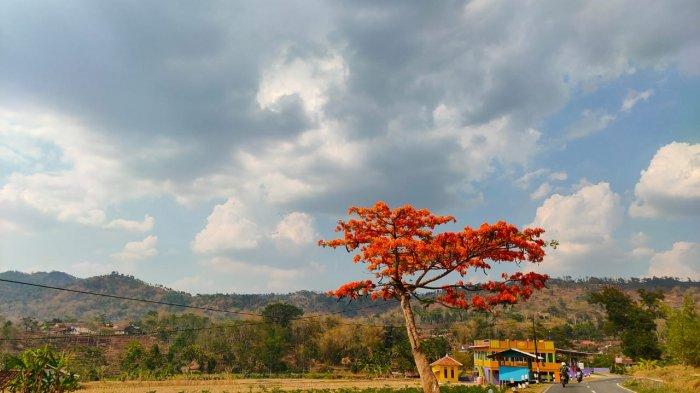 Waspada, BMKG Kertajati Prediksi Kecepatan Angin di Ciayumajakuning Bakal Lebih Kencang