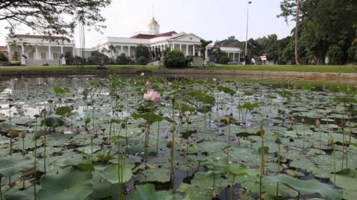 Kebun Raya Bogor merupakan bagian dari Istana Bogor yang menjadi istana Presiden Joko Widodo.